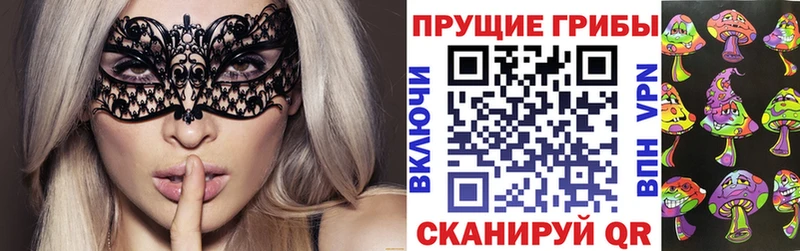 Галлюциногенные грибы Psilocybine cubensis  Невельск 